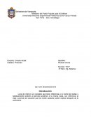 Protocolo de una luna de miel.