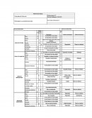 Marketing de Decathlon.