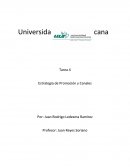 ESTRATEGIA DE PROMOCION.