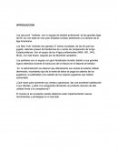 NSAYO-sitema-inf.-gerencial.