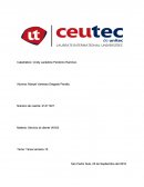 Proyecto de servicio al cliente.