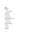 Control interno - Ensayo.