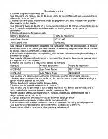 Realiza una busqueda mediante la ayuda de programa Calc, para recodar como guardar, abrir y cerrar un documento.. Página 1