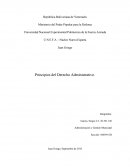 Principios del Derecho Administrativo.