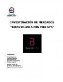Investigación de mercados. Bienvenido a mis pies SPA