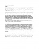 Los Centros de Responsabilidad.