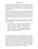Ensayo Rafestten.