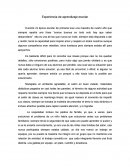 Experiencia de aprendizaje escolar.