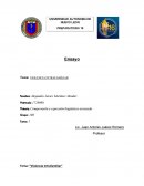 Ensayo Tema: VIOLENCIA INTRAFAMILIAR