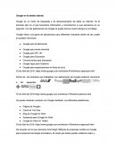 Google y su aplicacion empresarial