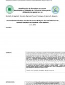 Identificación de Genotipos en cruces Monohíbrido y Dihíbrido de Drosophila Melanogaster, utilizando los genes w y vg
