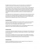 El código de color hace referencia a que en la corteza existe un are especifica que contiene y encontramos el centro del color el cual procesa cada uno de estos.