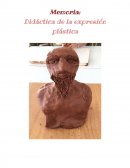 Memoria: Didáctica de la expresión plástica