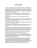 Influencia de las tribus urbanas en el desarrollo social de los adolescentes.