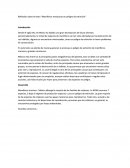 Reflexión sobre el texto “Mamíferos mexicanos en peligro de extinción”