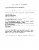 PONGAMOS EL ALTAR DE MUERTOS.