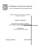 Trabajo de Práctica de la Unidad de Aprendizaje de Terapéutica Veterinaria .“Eméticos y Antieméticos”
