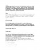 TRANSPORTES O&M Logística S.A.S.