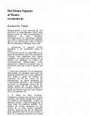 Del Homo Sapiens al Homo economicus