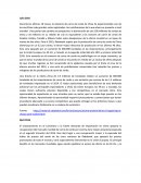 Durante los últimos 18 meses, la industria de carne de cerdo de China ha experimentado uno de los sacrificios más grandes antes registrados