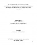 ESTUDIO DE FACTIBILIDAD PARA LA CREACIÓN DE UNA EMPRESA DE ASESORIA INTEGRAL (CONTABLE Y FINANCIERO, LEGAL, TRIBUTARIA)