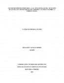 Microcreditos rurales