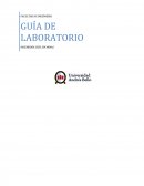 Tema- INGENIERÍA CIVIL EN MINAS