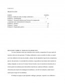 REFLEXION SOBRE EL TRABAJO COLABORATIVO