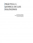 PRÁCTICA 1: QUIMICA DE LOS HALÓGENOS