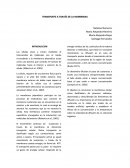 Informe transporte a traves de la membrana
