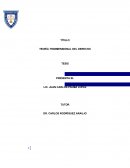 TEORÍA TRIDIMENSIONAL DEL DERECHO.