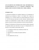 LEVANTAMIENTO DE INFORMACION PARA DETERMINAR EL ENTAPONAMIENTO EN LA AV. WINSTON CHURCHILL, ESQ. ROMULO BETANCOURT EN HORA PICO Y HORA NORMAL.
