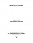 DIRECTORES EJECUTIVOS EXTRAORDINARIOS