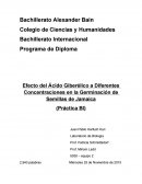 Efecto del Ácido Giberélico a Diferentes Concentraciones en la Germinación de Semillas de Jamaica