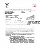 CARTA DE CONSENTIMIENTO INFORMADO PARA SERVICOS