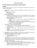 NARIZ Y SENOS PARANASALES