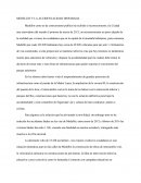 MEDELLÍN Y LA ACCIDENTALIDAD DISPARADA.