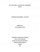 DEL CAPITALISMO A LA SOCIEDAD DEL CONOCIMIENTO ENSAYO