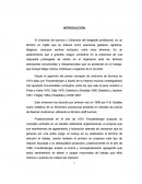 TESIS SINDROME DE BURNOUT NEGRO