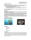 EVIDENCIA EVOLUTIVA
