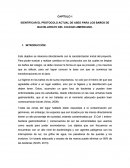 Ejemplo de un capitulo de una investigacion.