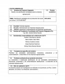 TEMA: Planificación estratégica de la producción del cacao en la finca “LOS RAMONES”
