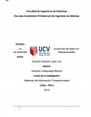 La protección de datos en los sistemas transaccionales