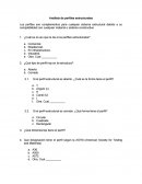 Análisis de perfiles estructurales