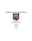 Reporte Nº 1 de Propagación sexual: Siembra en bandejas