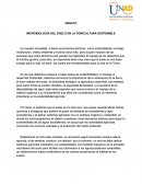 MICROBIOLOGÍA DEL SUELO EN LA AGRICULTURA SOSTENIBLE