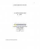 ESCRITO SOBRE ORGANIZACIÓN .