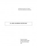 La teoría de Vygotsky sobre el juego: Desarrollo, motivación e imaginación en la infancia