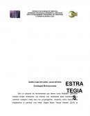 Estrategias Motivacionales.