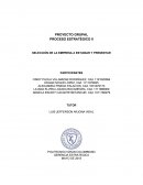 Proceso estrategico. INFORMACIÓN DE CARÁCTER GENERAL DE LA EMPRESA